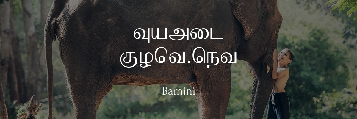 tamil fonts download bamini